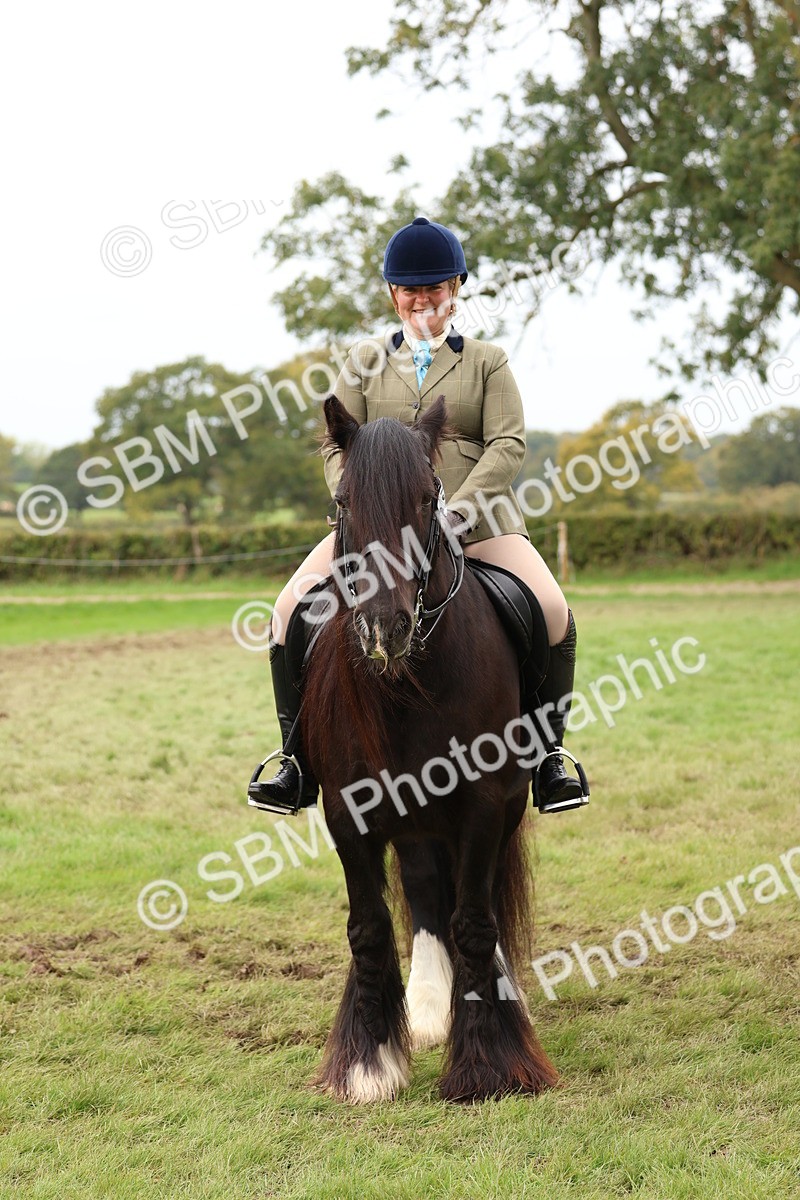 SBM_59902 - S36 - Rehabiliated Rescue Horse & Pony In Hand & Ridden