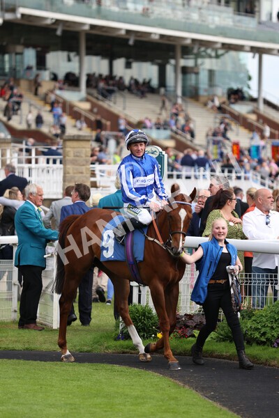 yr22052022r5-13 - Race 5: 5:35pm Sky Bet Sunday Series Sprint