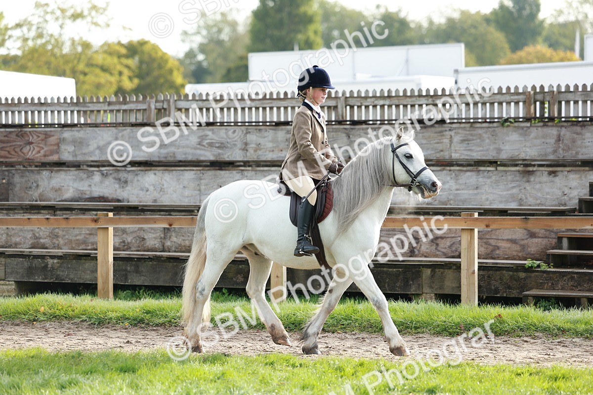 SBM_56355 - S39 - Starters In Hand Showing