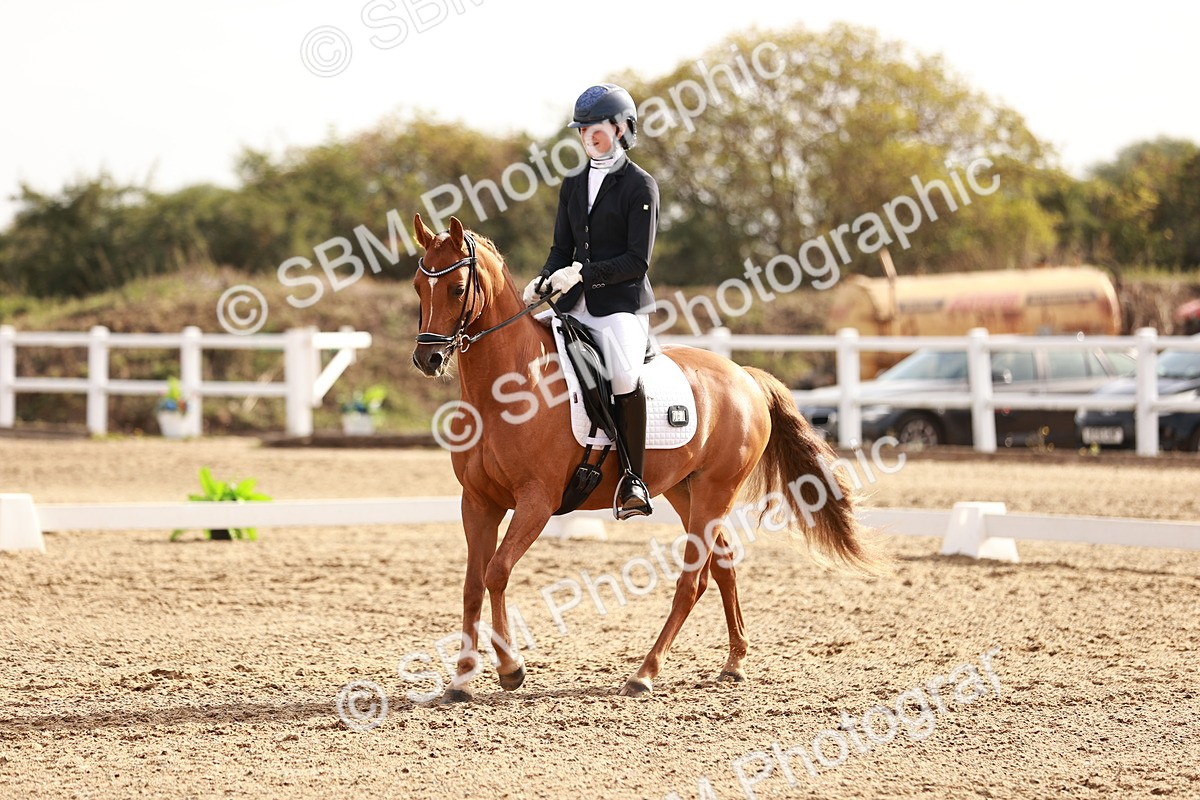 SBM_016908 - Class 10 - Medium 6