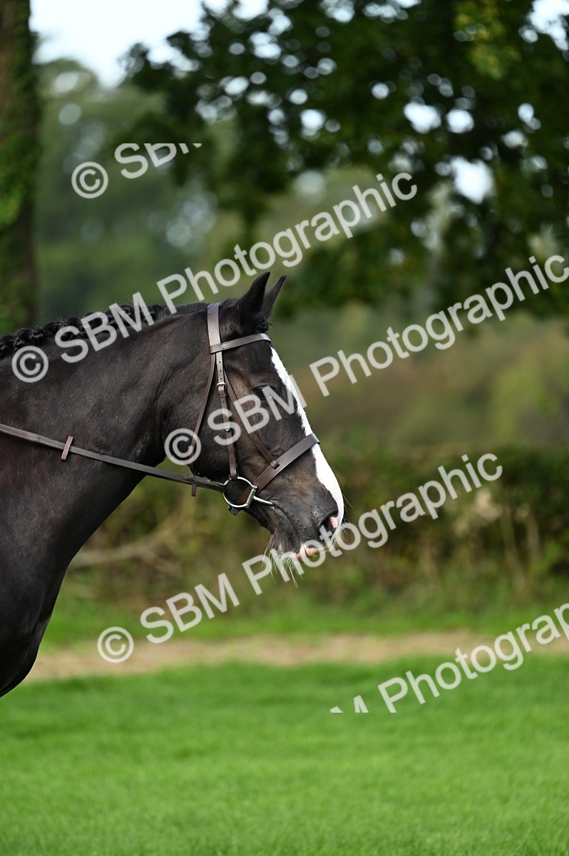 SBM_02050 - S2 - TSR Ridden Horse Showing