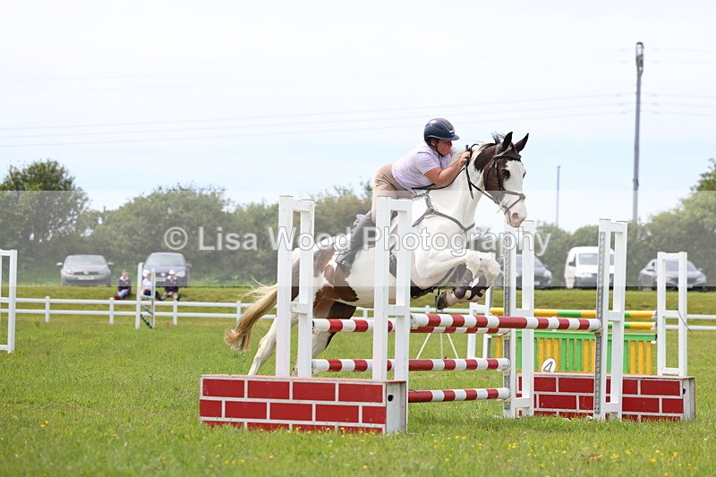 3E7A1836 - Class 13: Senior British Novice/90cm open