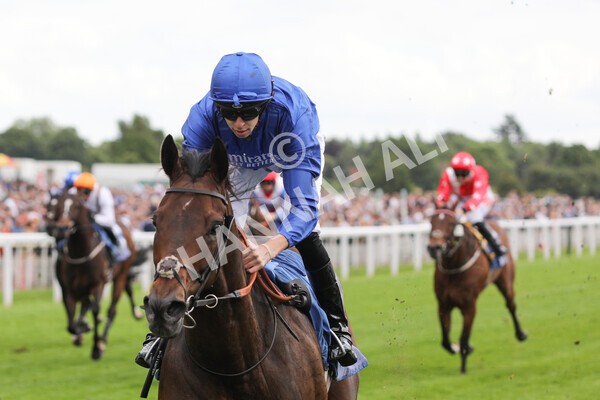 yr11062022r7-17 - Race 7 4.50pm The Ice Co Supporting Macmillan Stakes