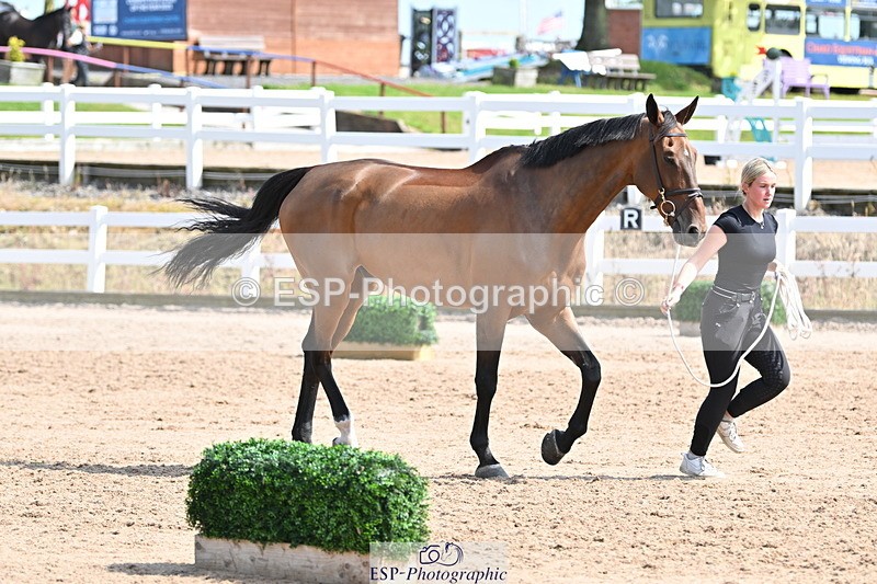 240717A-154513-03037 - Trot Up 3pm to 4pm