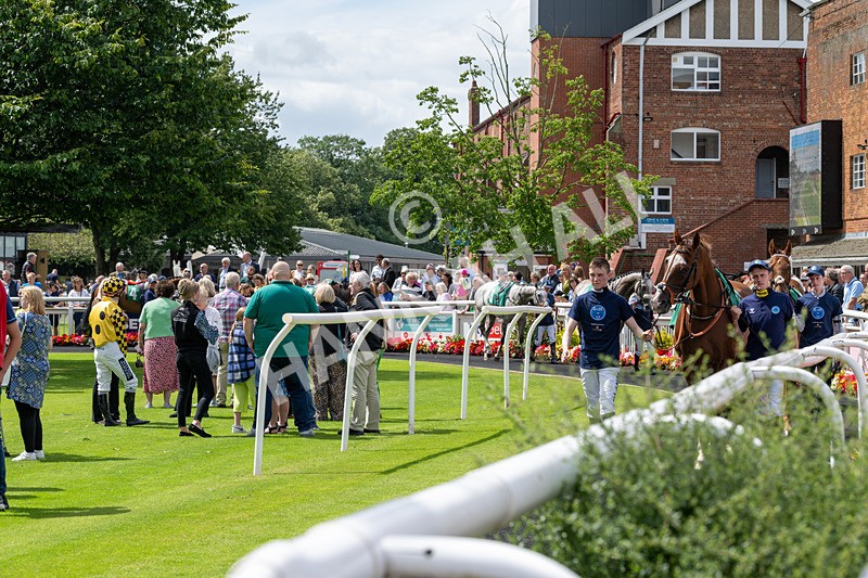 260724-Graham Lee Stable Staff Stakes-3172 - Graham Lee Stable Staff Stakes