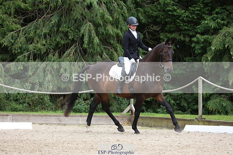 230812-153208-05161 - Cls 5 Novice Bronze 15.00 to End