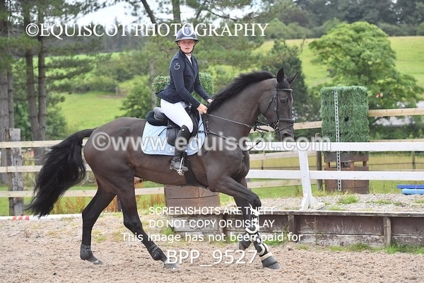 BPP_9527 - CLASS 7 Senior Newcomers/ 1.10m OpenSenior Newcomers/ 1.10m Open