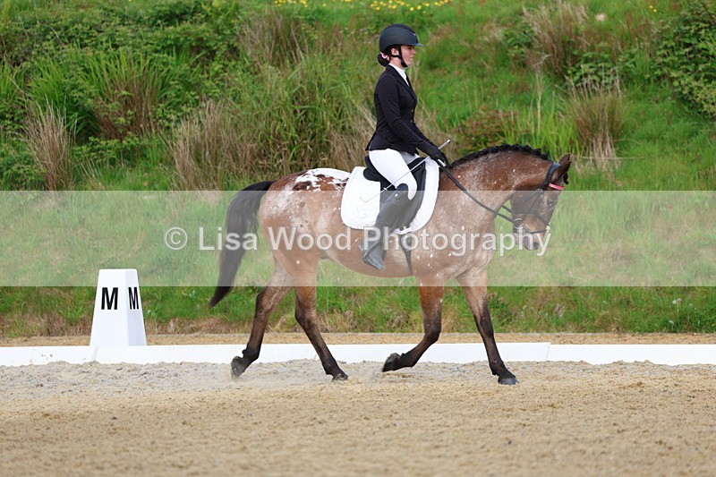 3E7A3579 - Class 2: INTRO B- INTRO 3 2024