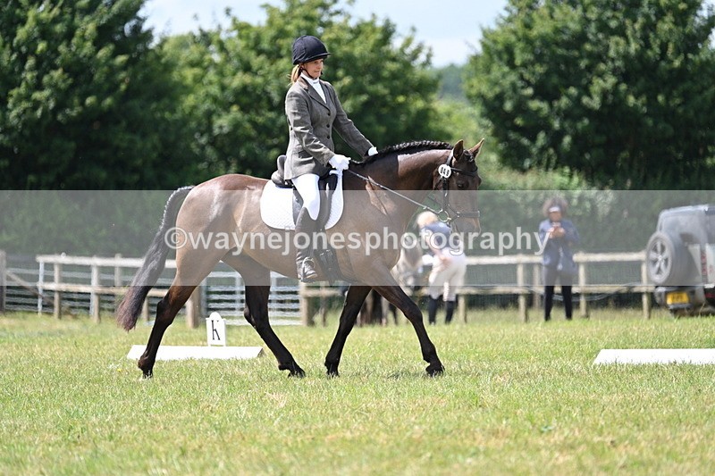 WJ7_4820 - Time 11:22 to 11:51