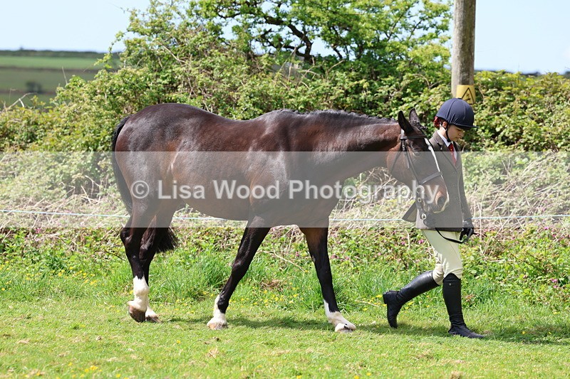 3E7A0431 - Class 20: Sports Horse