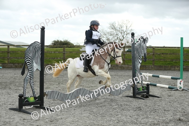 20260412-0684 - Show Jumping
