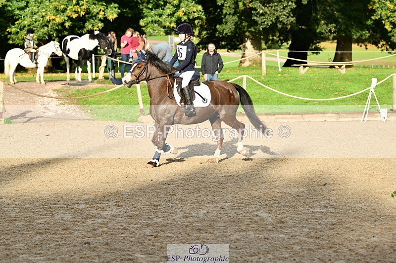 251004A-090458-00050 - Classes 1-2-3 40cm