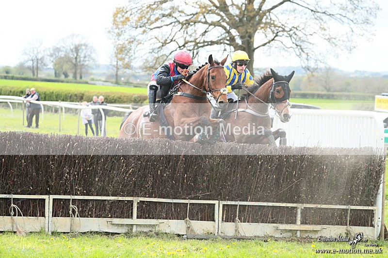PtP 180426 340 - Worcestershire Hunt PtP Chaddesley Corbett 18/04/26