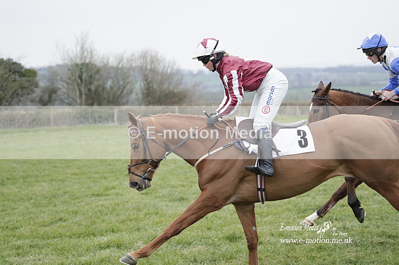 PtP 050323 668 - Blackmore & Sparkford Vale Hunt PtP - Somerset 05/03/23