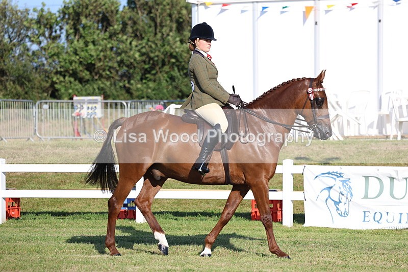 3E7A4894 - Class 1: Rising Star Small Hack/Riding Horses