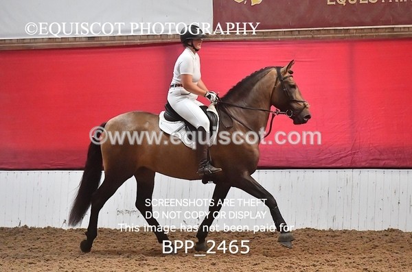 BPP_2465 - AFTERNOON 12.30 - 3.30PM