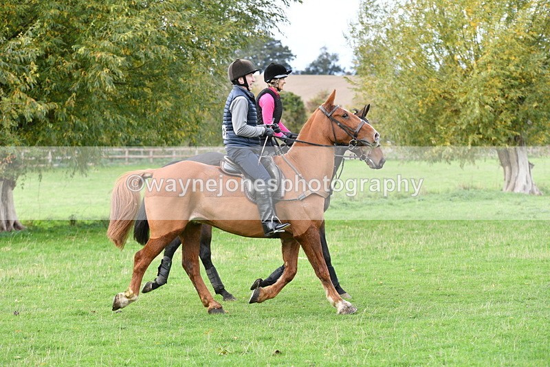 WJ5_0392 - Time 13:59 to 14:28