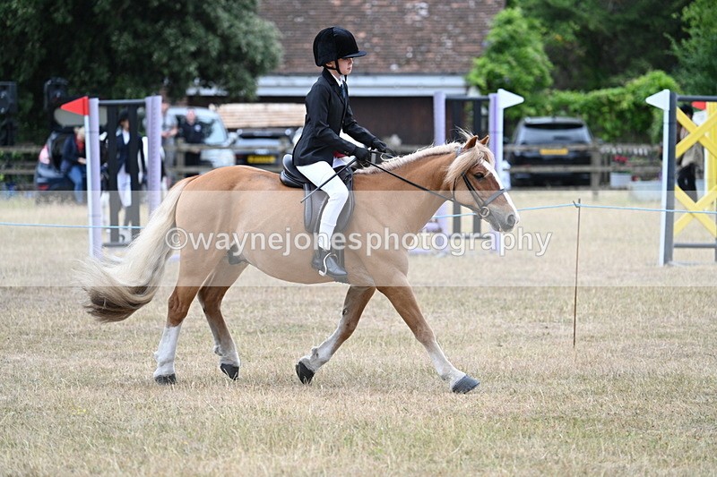 WJ7_7185 - Class 2 Best Rider