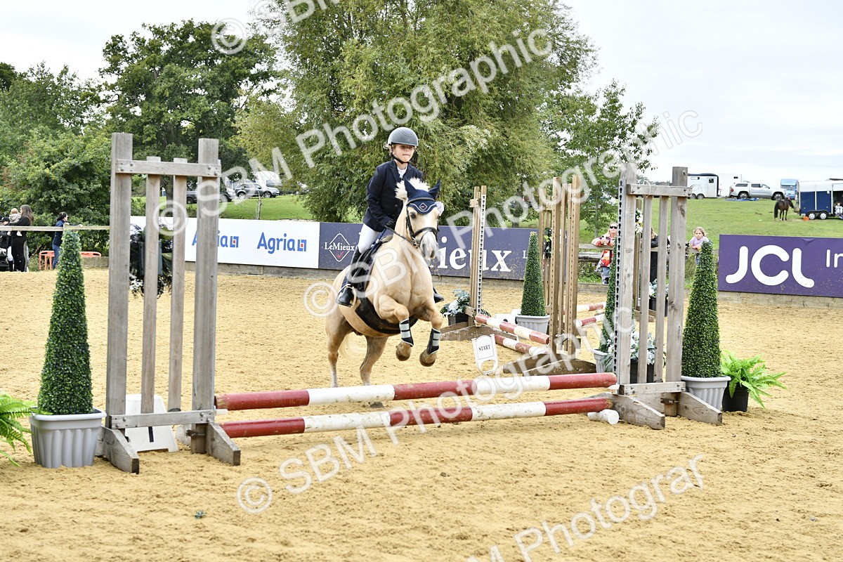 SBM_65503 - J2a mini Tour Junior Pony 30cm Championship