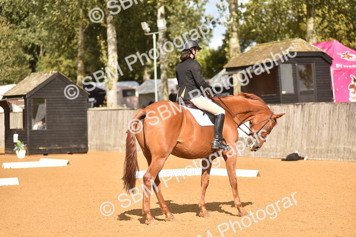 SBM_24243 - D4 - Small Tour Championship Intro 4