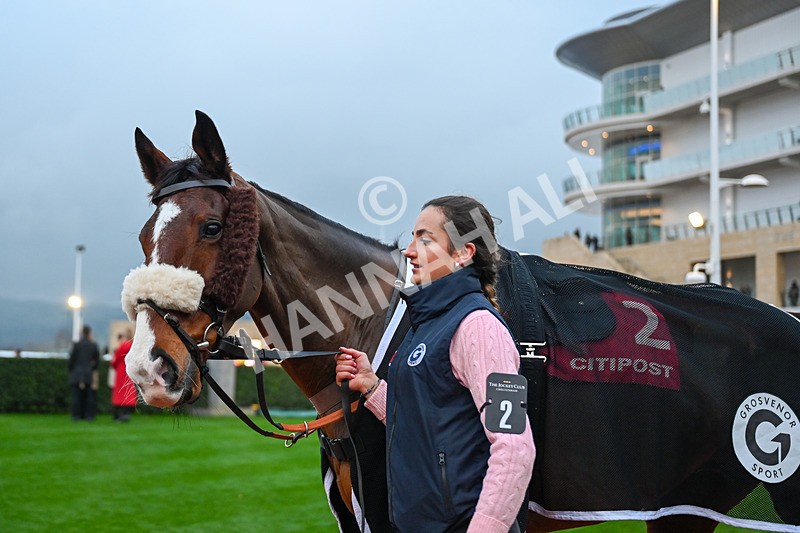 131224-Race 7-Might I-0067 - Race 7