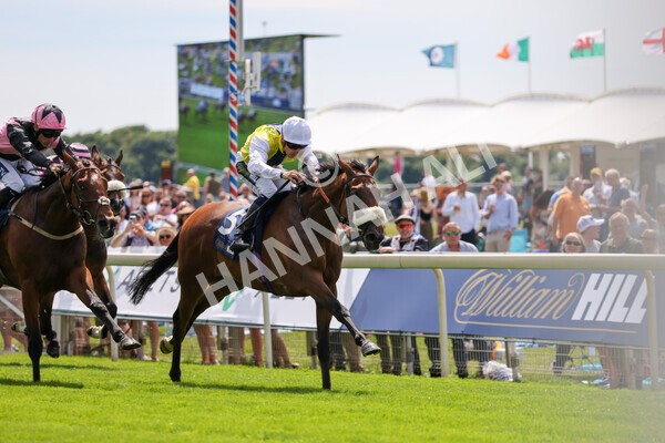 yr08072022r1 -23 - Race 1 2.05pm William Hill Best Odds Guaranteed Handicap Stakes