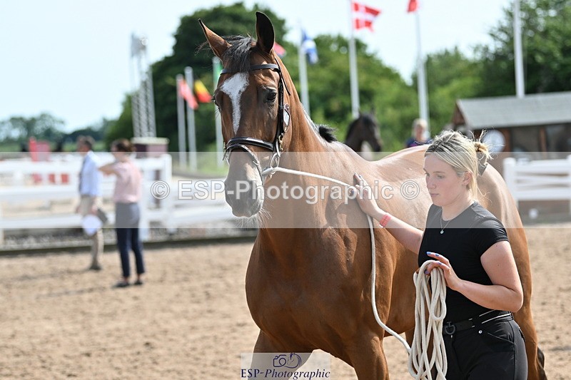 240717A-160227-03280 - Trot Up 4pm to 5pm