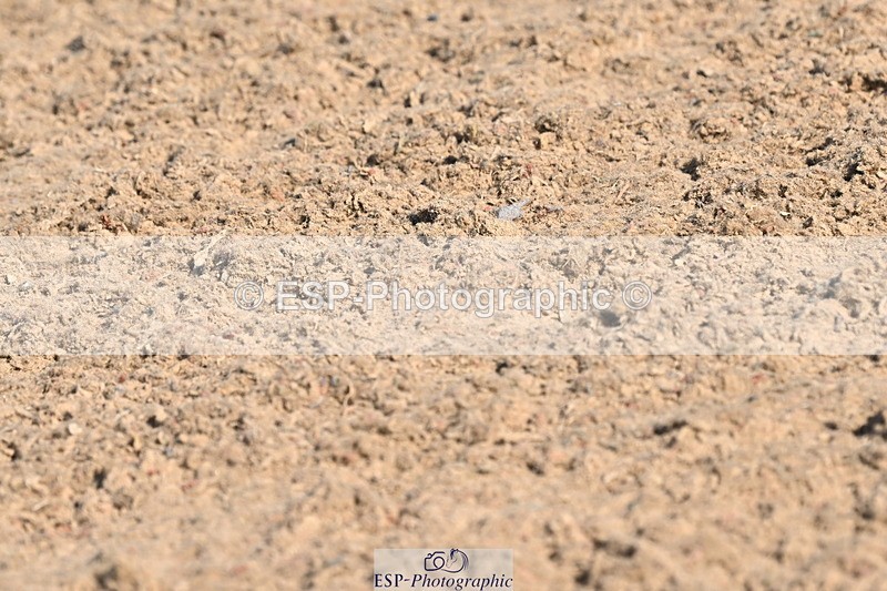 240509A-091224-00476 - Cls 8 Foxhunter