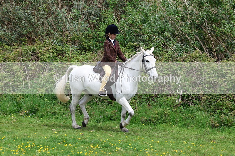 3E7A1680 - Class 9: Riding Club Horse/Pony