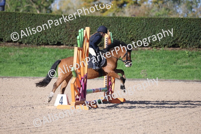 20251005-0049 - Class 1 - 40cm