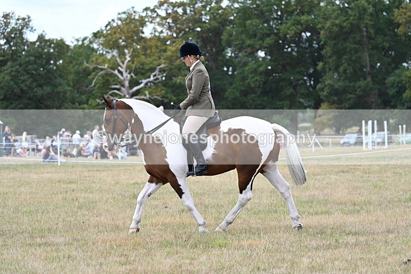WJ7_4975 - Class 12 Ridden Cob
