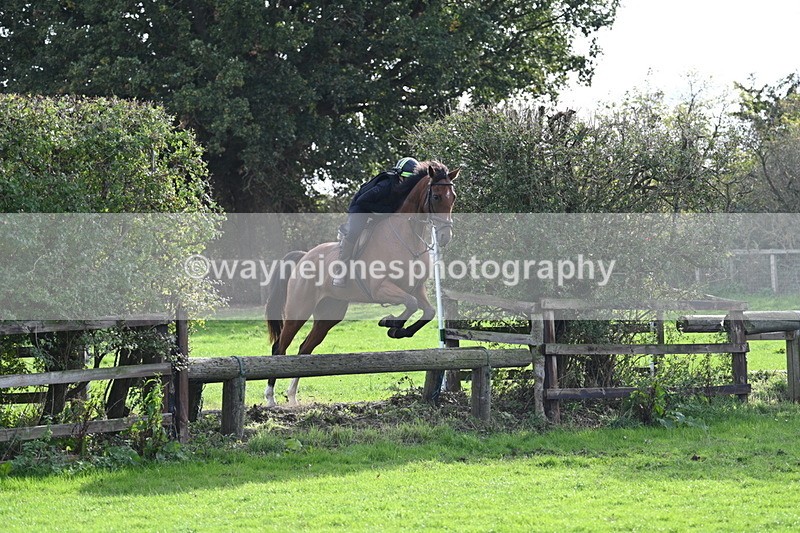 WJ7_0968 - Time 14:27 to 15:11