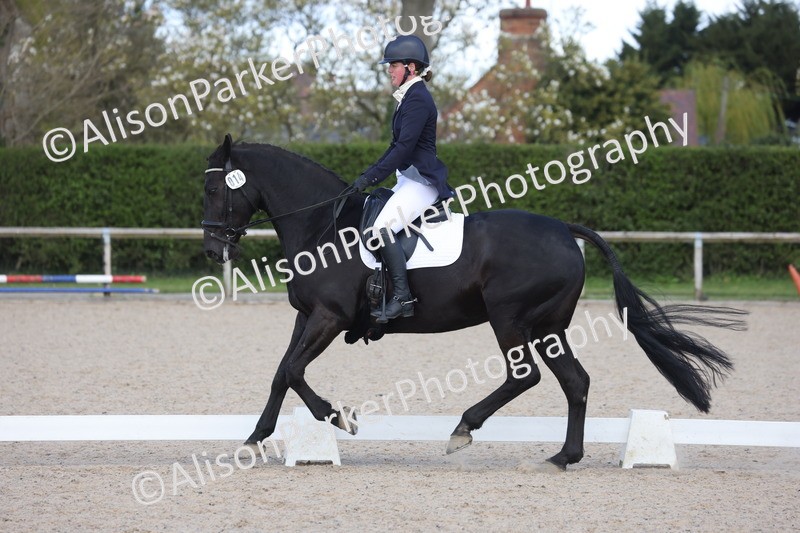 20260405-0460 - Class 5 - Elementary 5