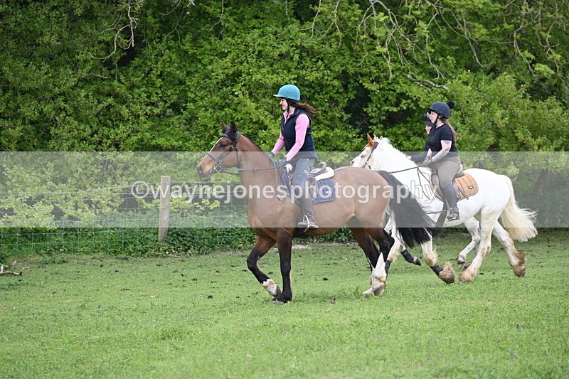 WJ6_3102 - A camera