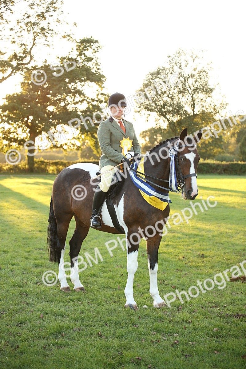 SBM_57074 - Veteran Supreme Championship
