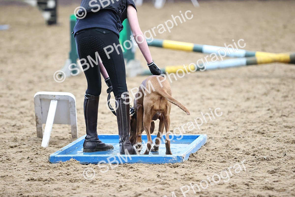 SBM_001292 - Class 3 - Horse & Hound 60cm