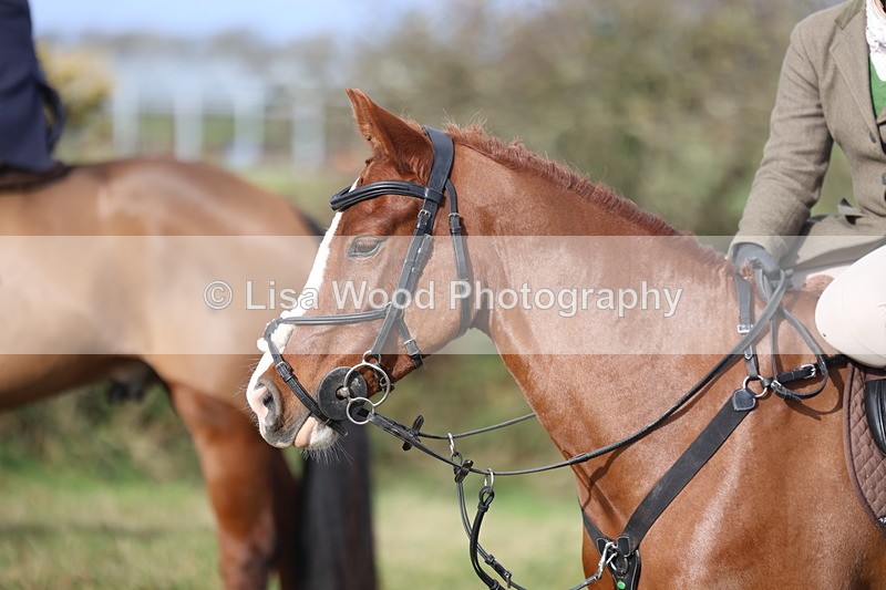 3E7A0591 - Four Burrow Opening Meet 2025