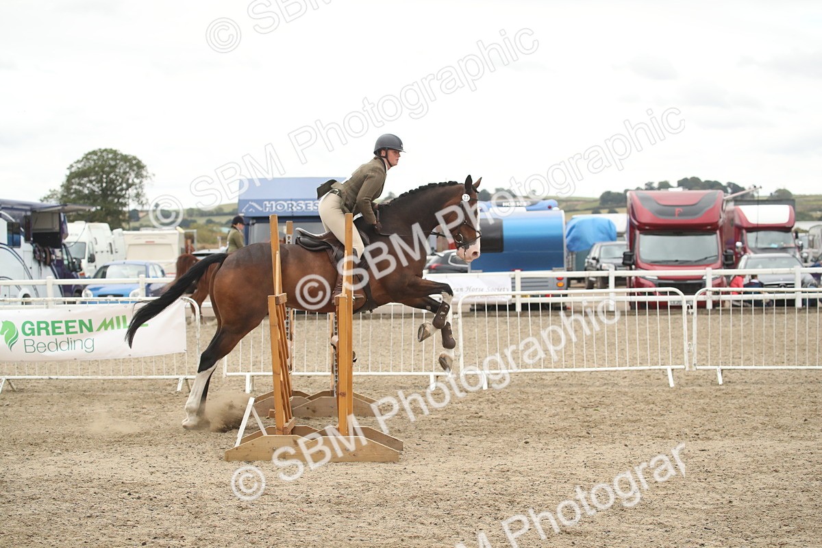 SBM_18386 - Class 509B - Working Veteran - 80cm (20+)