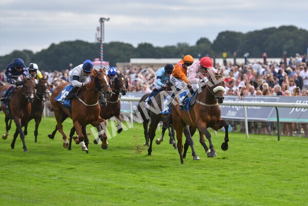 yr18082021r5-65 - Race 5 4.10pm Sky Bet Stakes