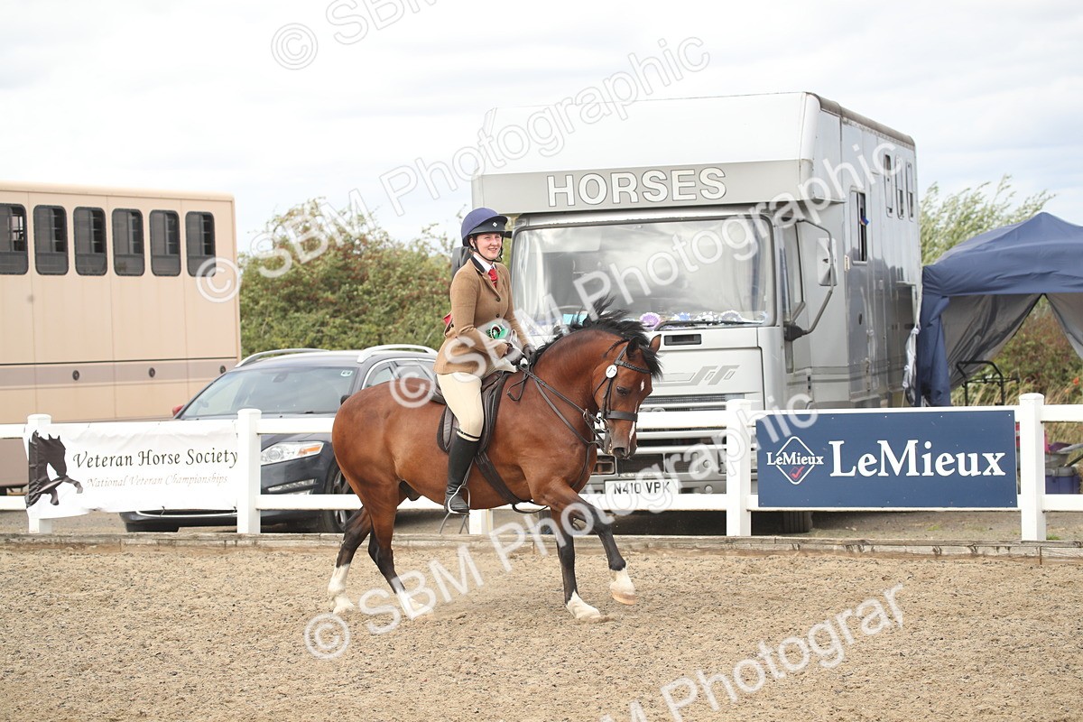 SBM_17807 - Class 508a - Working Veteran 70cm (15-19)