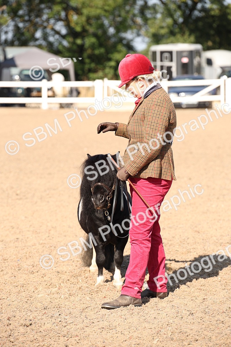 SBM_01553 - Class 15 IH Coloured