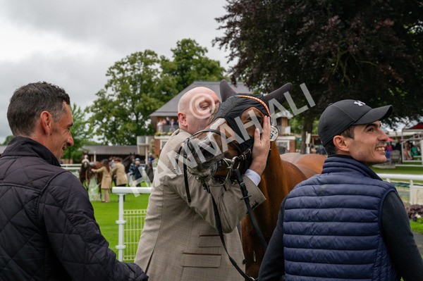 130724-Race 7-Ray Vonn-9622 - Race 7 5.25pm John Smith's Sprint Handicap