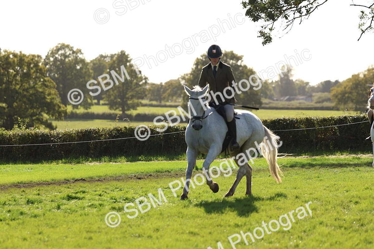 SBM_52458 - S13 - Pony Club Pony