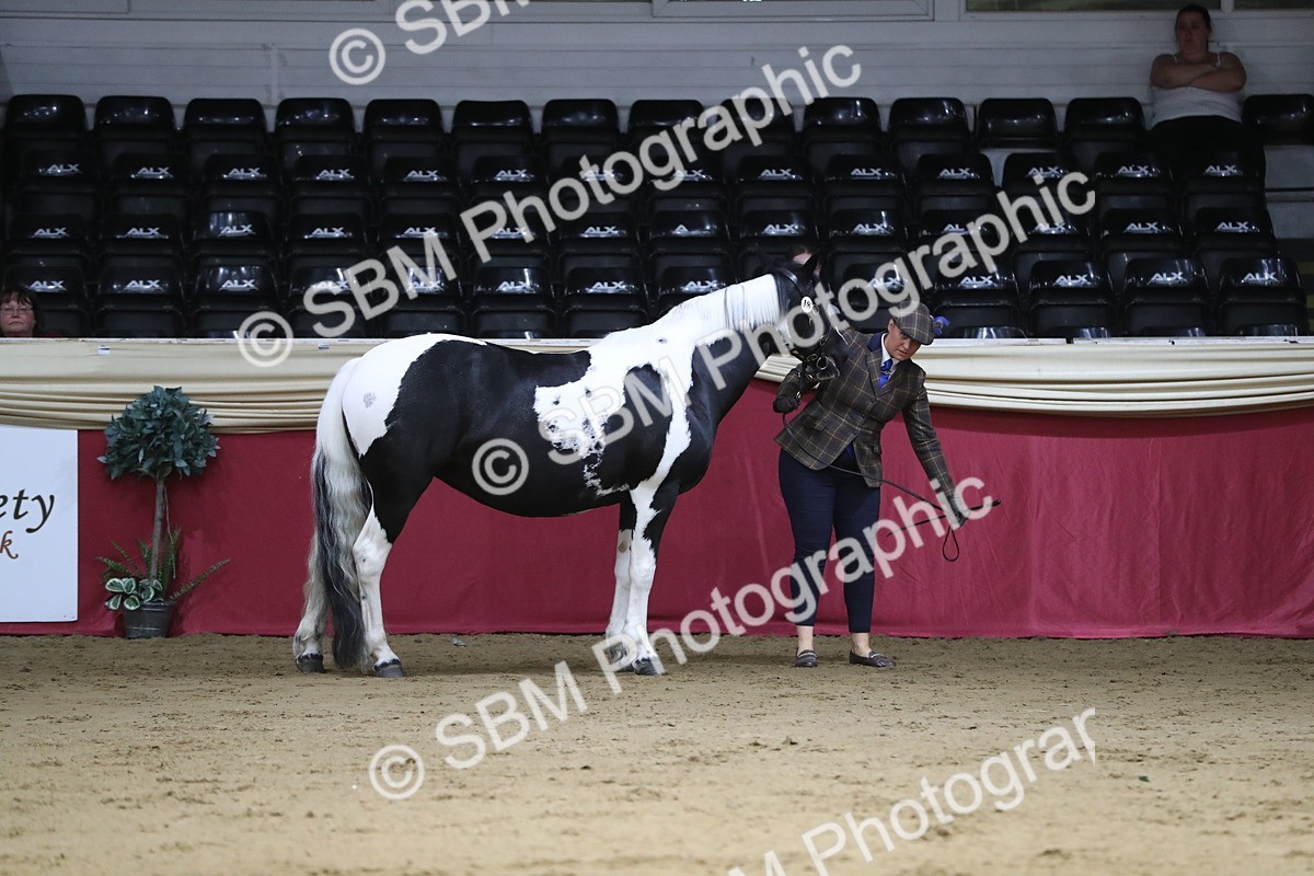 SBM_06312 - Class 9R Regional- IH Pre Vet