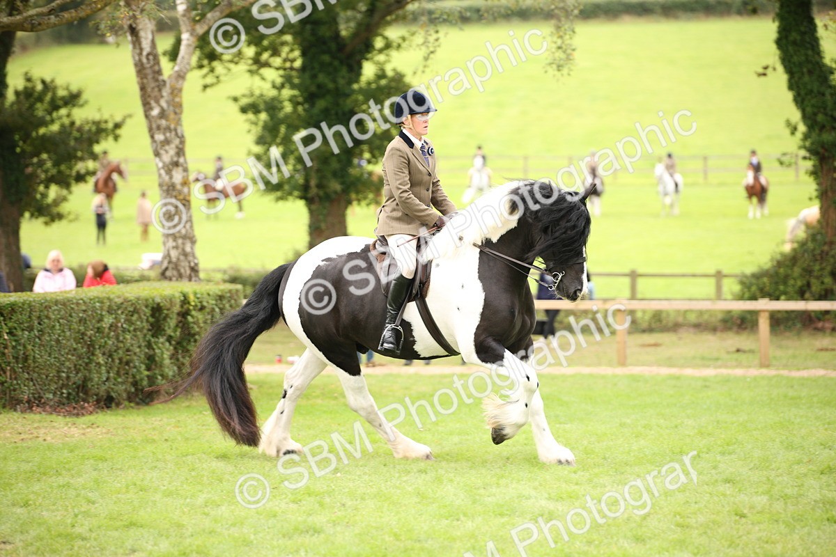 SBM_73522 - S68 - Traditional Cob Ridden