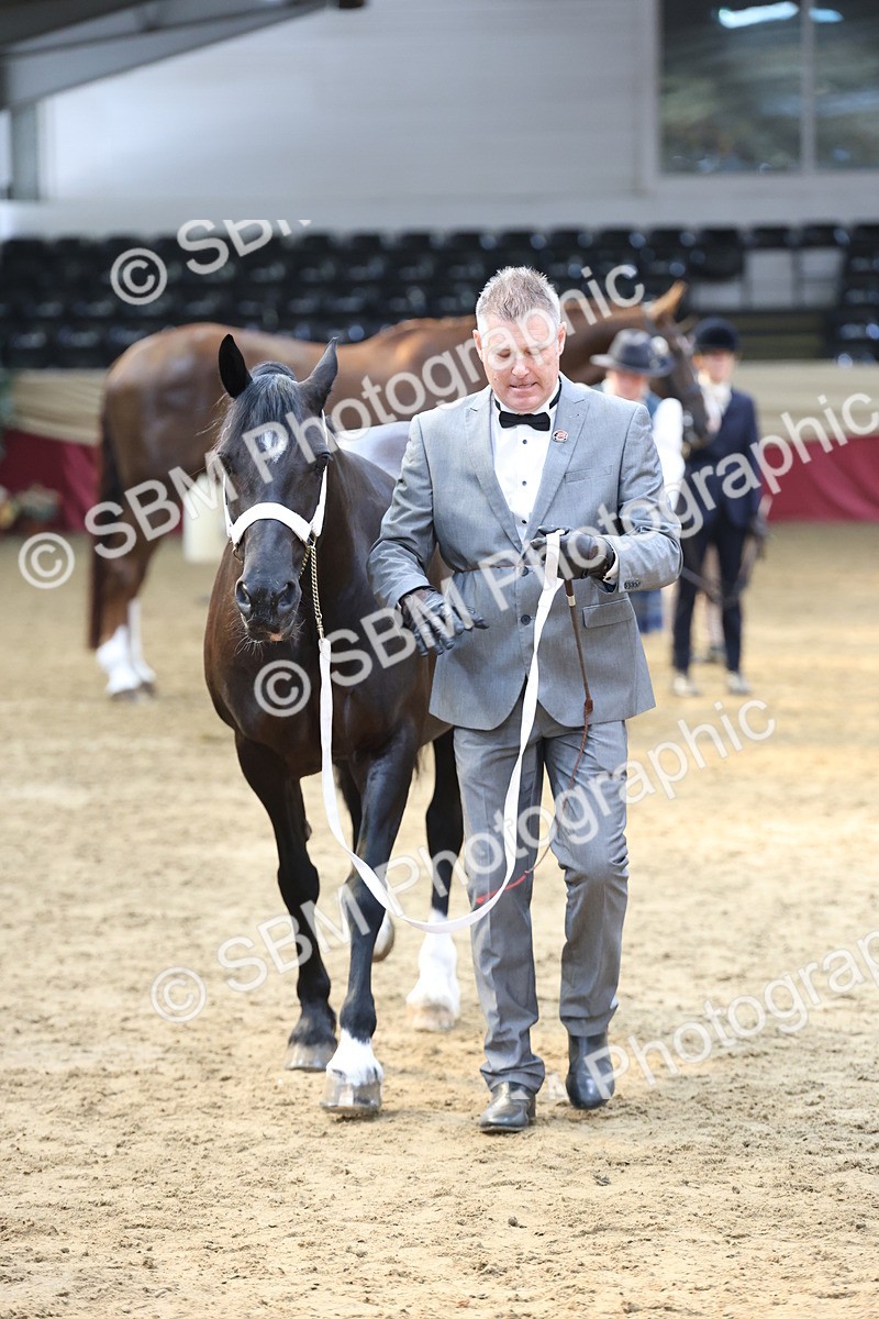 SBM_23329 - Class 903 - Supreme Final - IH Pre Vet