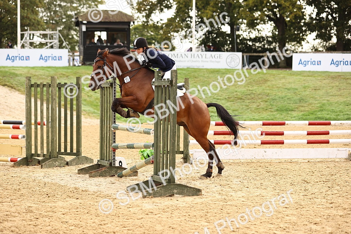 SBM_58198 - J41 - Grand Tour Horse & Pony 95cm