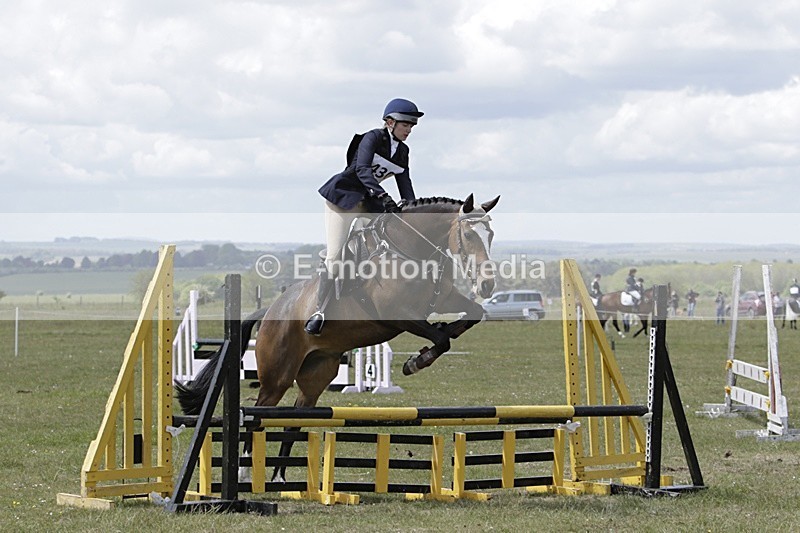 BVHT 140517 N-240 - Class 2 SJ Novice 14/05/17
