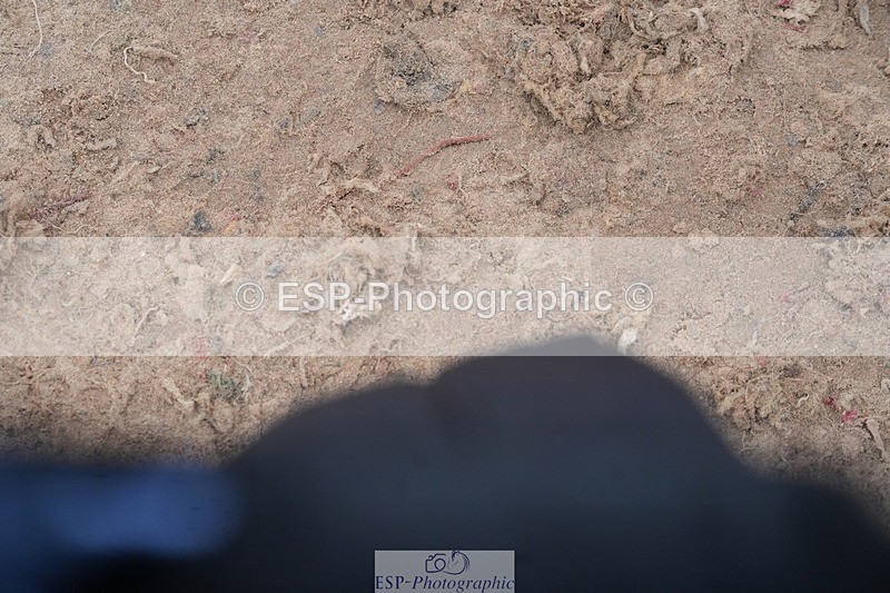 260315-132819-06282 - Cls 36 1.05m Amateur Quali