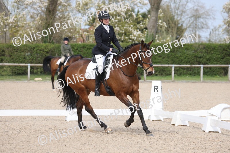 20260404-0835 - Class 5 - Novice 2